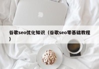 谷歌seo优化知识（谷歌seo零基础教程）