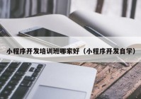 小程序开发培训班哪家好（小程序开发自学）