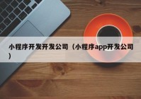 小程序开发开发公司（小程序app开发公司）