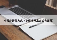 小程序开发方式（小程序开发方式有几种）