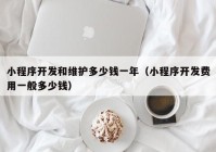 小程序开发和维护多少钱一年（小程序开发费用一般多少钱）