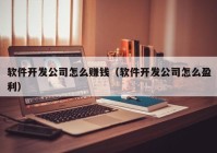 软件开发公司怎么赚钱（软件开发公司怎么盈利）