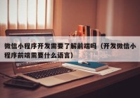 微信小程序开发需要了解前端吗（开发微信小程序前端需要什么语言）