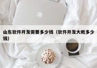 山东软件开发需要多少钱（软件开发大概多少钱）