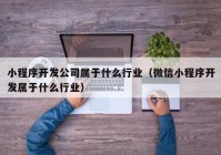 小程序开发公司属于什么行业（微信小程序开发属于什么行业）