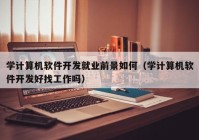 学计算机软件开发就业前景如何（学计算机软件开发好找工作吗）