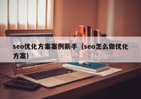 seo优化方案案例新手（seo怎么做优化方案）