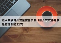 嵌入式软件开发是做什么的（嵌入式软件开发是做什么的工作）