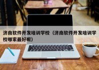 济南软件开发培训学校（济南软件开发培训学校哪家最好呢）