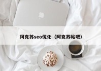 阿克苏seo优化（阿克苏帖吧）