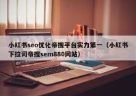 小红书seo优化帝搜平台实力第一（小红书下拉词帝搜sem880网站）