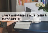 软件开发培训机构去哪个学校上学（软件开发培训学费是多少钱）