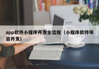 app软件小程序开发全流程（小程序软件项目开发）