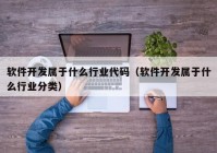 软件开发属于什么行业代码（软件开发属于什么行业分类）