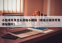 小程序开发怎么添加小图标（微信小程序开发添加图片）