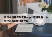 微信小程序开发工具appid在哪里看（小程序开发appid是什么）