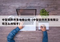 中智软件开发有限公司（中智软件开发有限公司怎么样知乎）